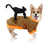 Small dog wearing a standing black cat Halloween costume