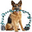 Six knot cotton rope tug toy in white, blue and yellow