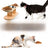 Raised wooden pet bowl stand, main product photo
