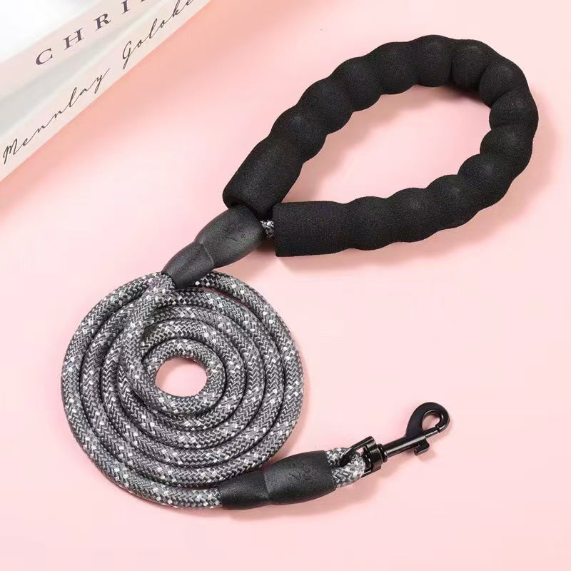 Strong nylon dog walking lead, close-up detail view