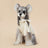 Sweet bow padded winter coat for small dogs, in a home setting