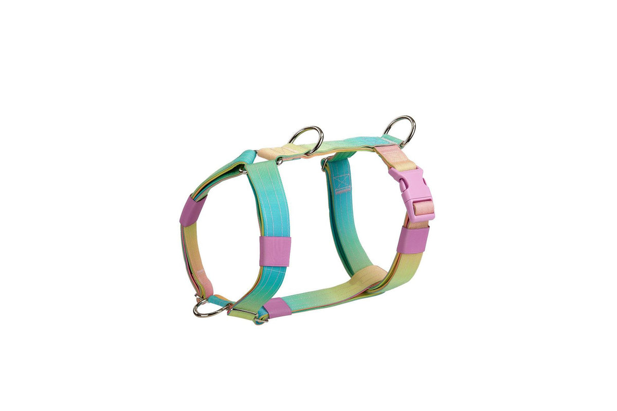 Gradient dog collar and lead, 3 sizes available