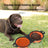 Portable Foldable Double Pet Bowl