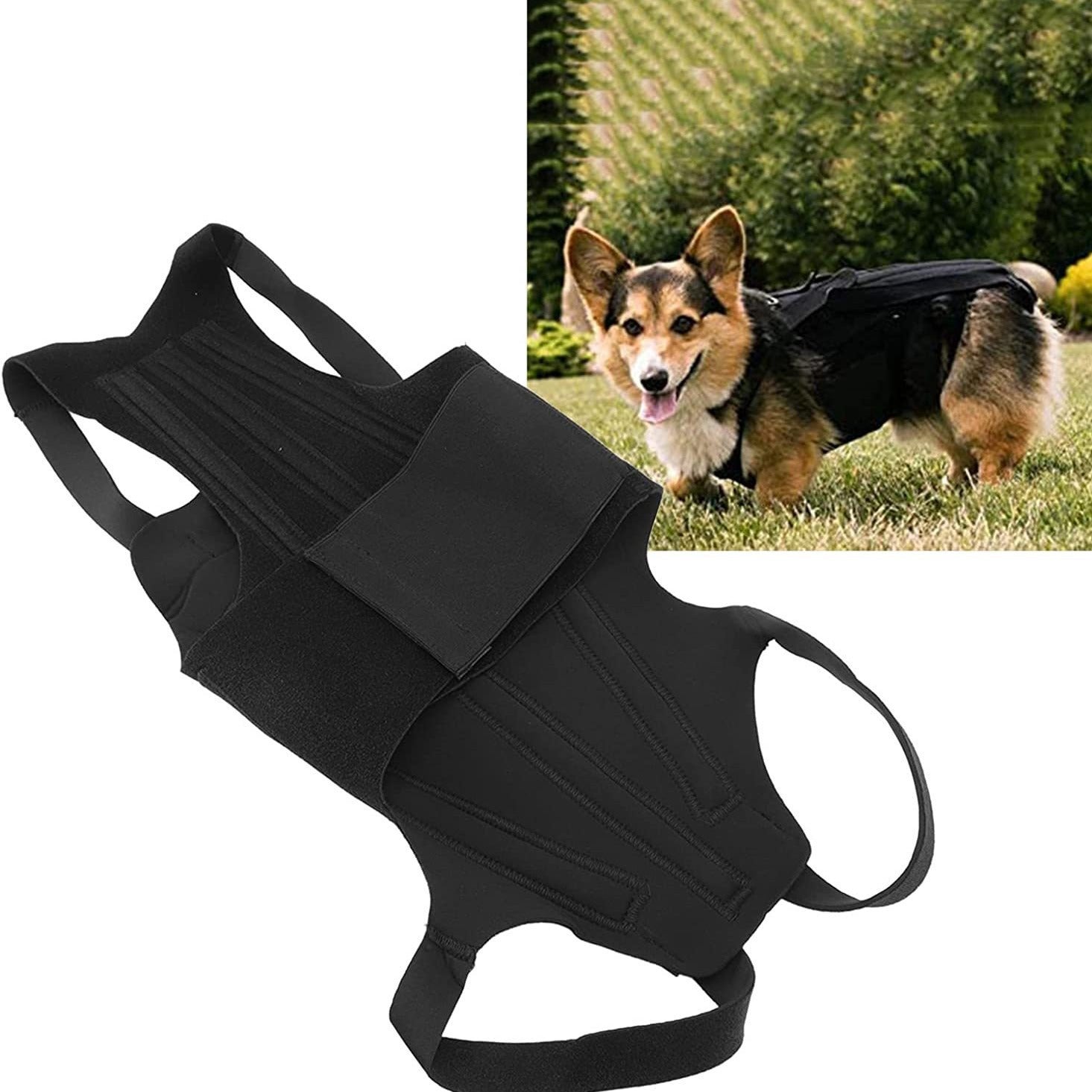 Dog Back Support Vest
