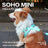 Printed saddle dog harness in cyan blue with retractable lead