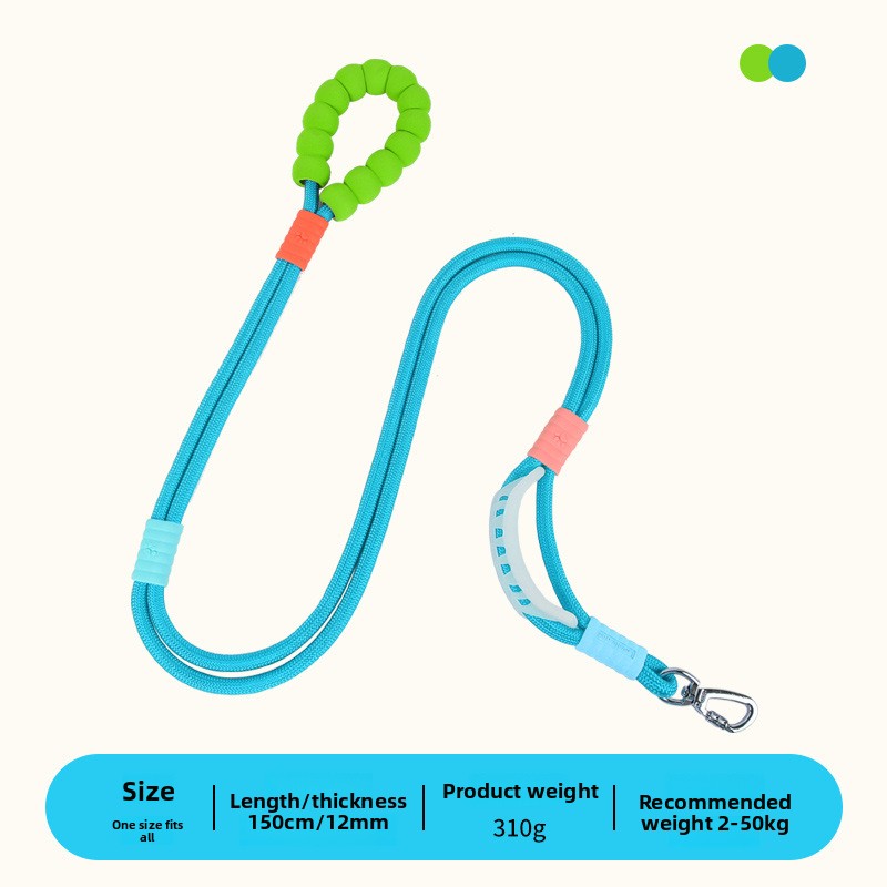 Bright nylon dog lead in vivid colour, product image 8