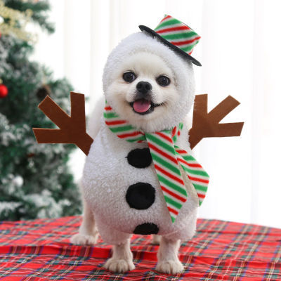 Halloween and Christmas pet costume for dogs and cats in Standing Snowman Costume, top view