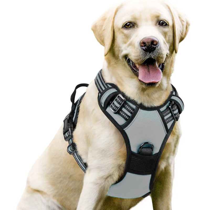 No-pull soft padded dog harness, ideal for everyday use