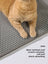 Anti-Slip Double Layer Cat Litter Control Mat