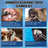 Ultrasonic Pet Tooth Cleaner for Dogs and Cats, Three-Piece Home Dental Care Set