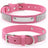 Rhinestone nylon collar for dogs and cats in Purple, in a home setting