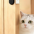 Pet door holder anti-pinch stopper, detail photo 3