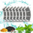 Automatic filter water dispenser