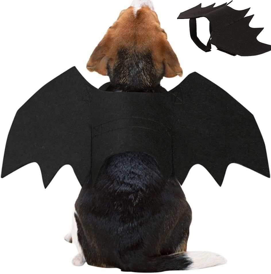 Halloween bat wings and spider costume for dogs and cats, image 8