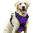Nylon vest dog harness with matching lead in peacock blue