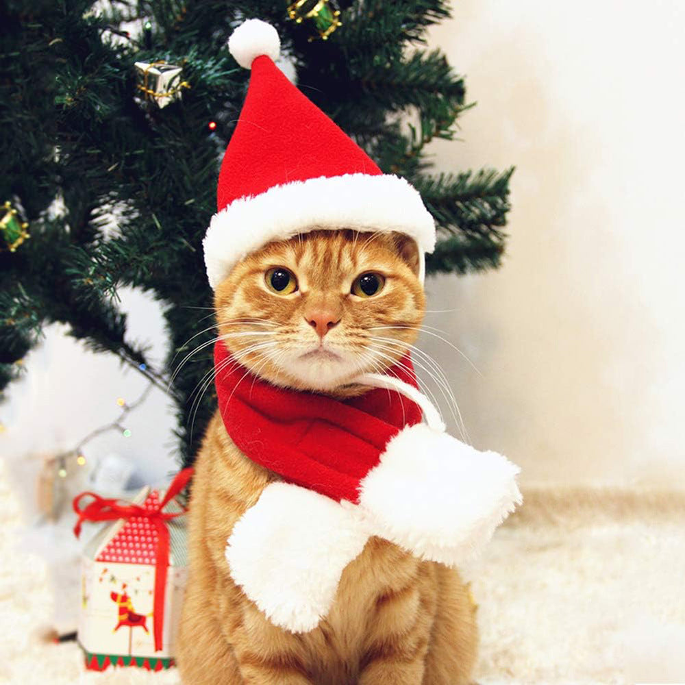 Christmas velvet pet scarf and hat set in Scarf and Hat, front view