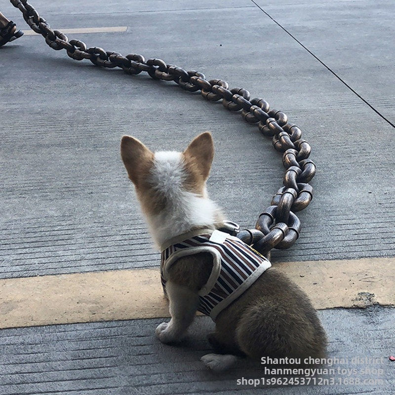Chain link dog lead, main product photo from Pet Royale UK