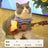 Selection of funny Halloween and Christmas costumes for pets