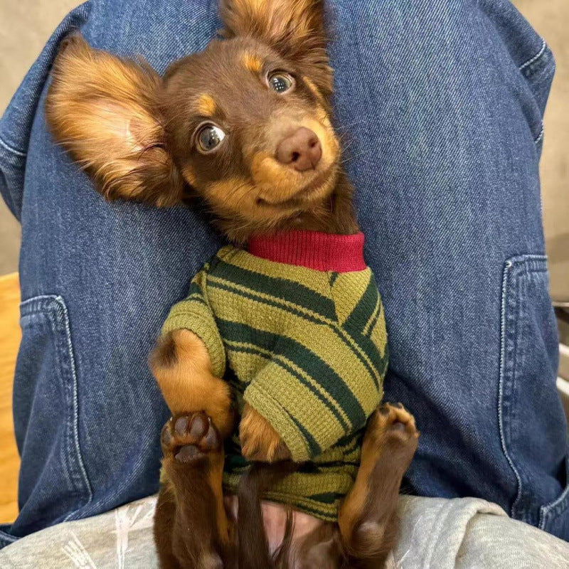 Dark green striped two leg hoodie for small dogs
