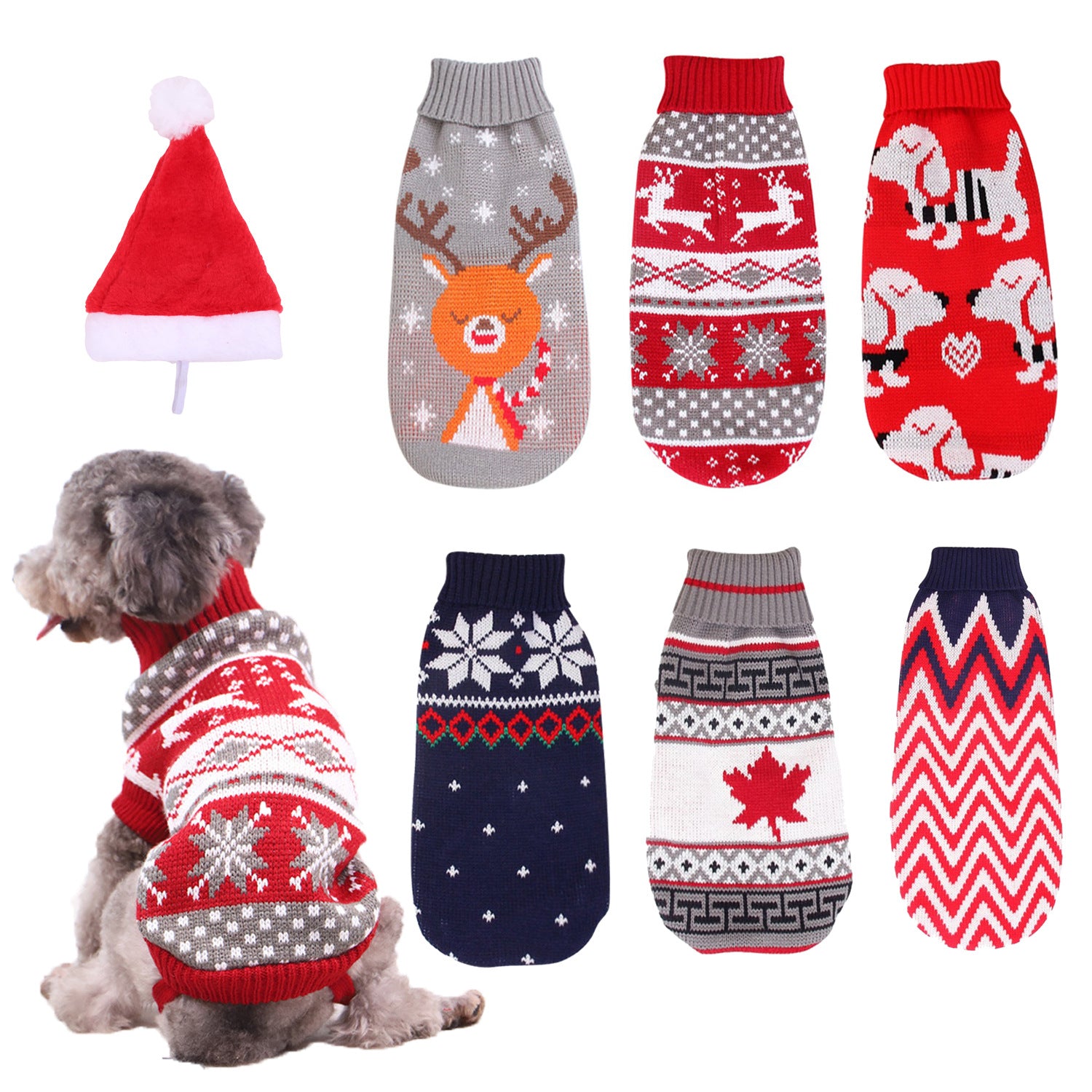 Small dog in a red reindeer knitted Christmas jumper