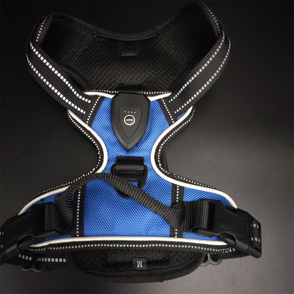 LED light-up dog harness for night walks, main product photo