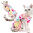 Cat Sterilization and Postpartum Recovery Vest