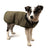 Quilted canvas dog coat, available in 5 styles, sizes Small to Medium, image 9