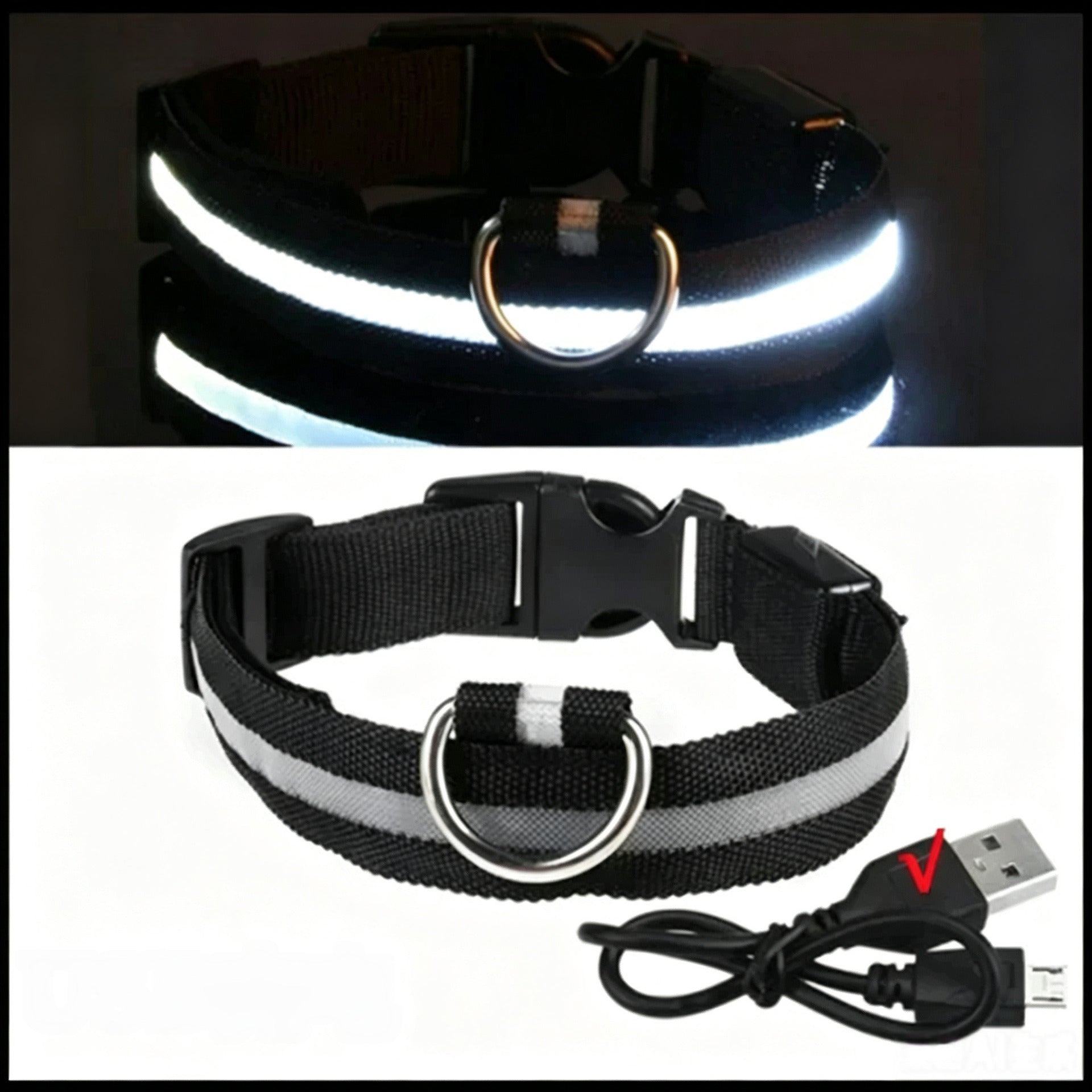 Reflective LED dog collar with USB charging in Green, top view
