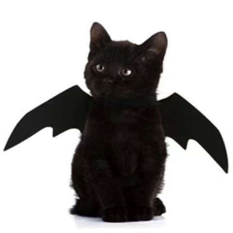 Halloween felt bat wings for dogs and cats in Purple Wings Medium, material detail
