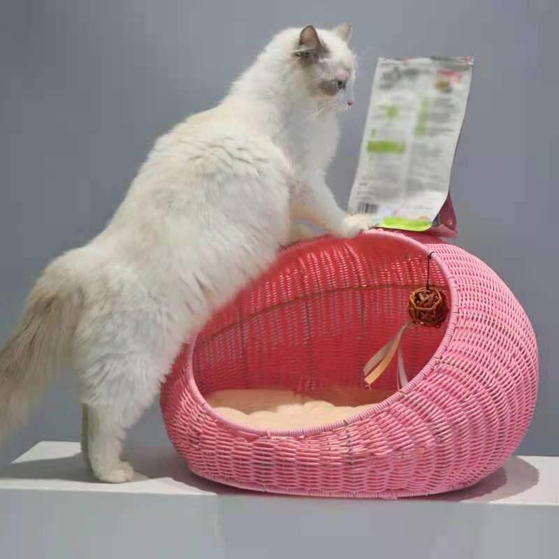 Hand woven rattan cat bed with removable washable cushion, view 8 of 23