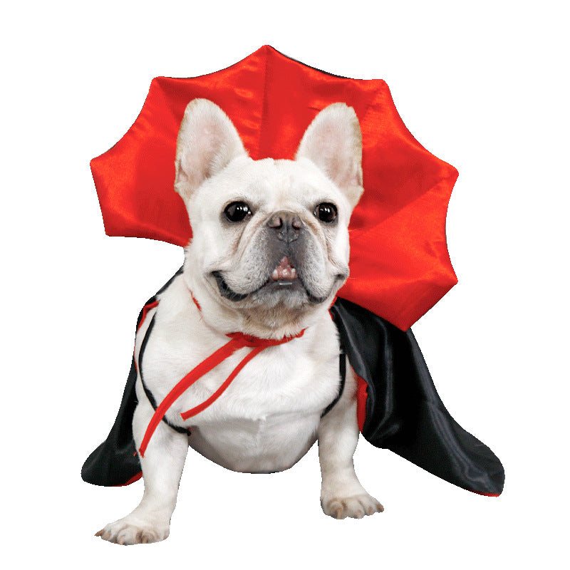 Halloween bat style pet cloak with 3D collar in Purple and Black, close-up detail