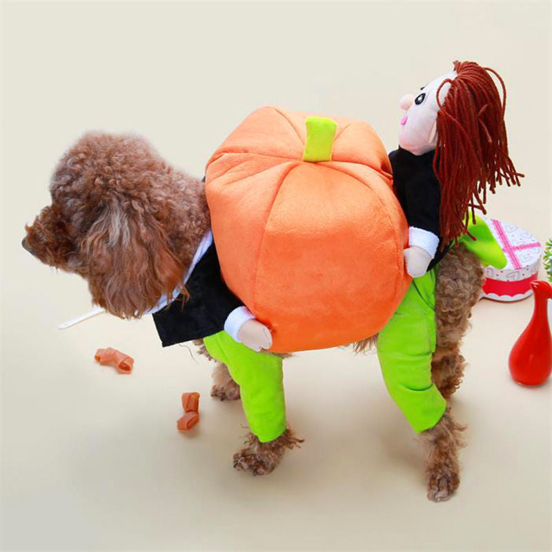 Pumpkin Halloween costume for small dogs in Pumpkin, close-up detail