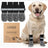 Anti-slip knitted cotton dog socks with grip soles, in use with a pet