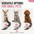 Novelty giant chain look pet lead, available from Pet Royale UK