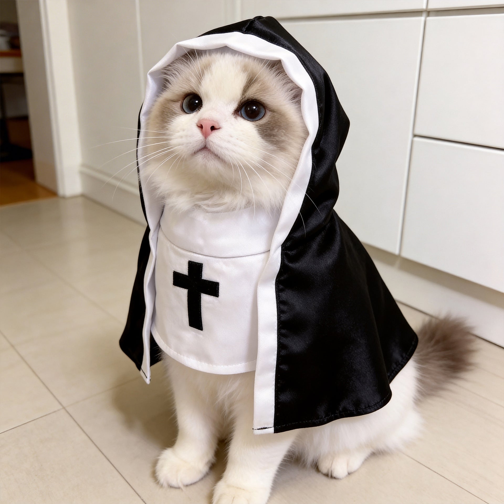 Cat dressed in a black and white nun uniform costume
