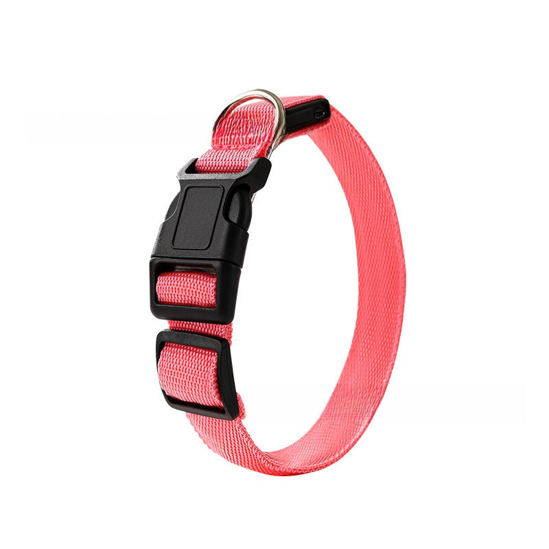 USB rechargeable LED dog collar glowing in bright colour, product image 4