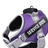 Reflective breathable mesh dog harness, 6 sizes available