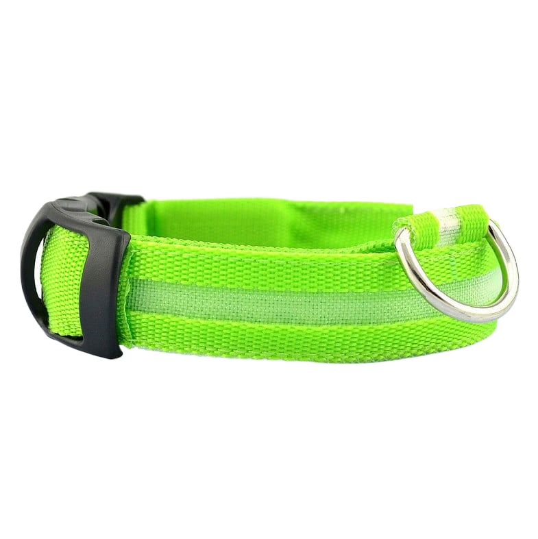 LED mesh dog collar with light modes in Blue, in a home setting