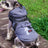 Warm cotton coat for small dogs in Grey, side view
