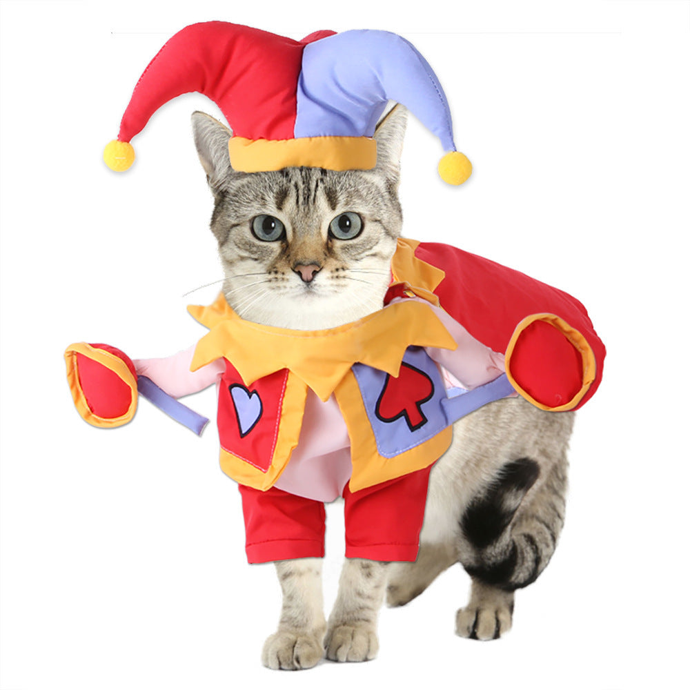 Funny pumpkin and spider Halloween costume for dogs and cats, image 2
