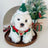 Hand-crocheted Christmas collar for cats with snowflake design, product image 1