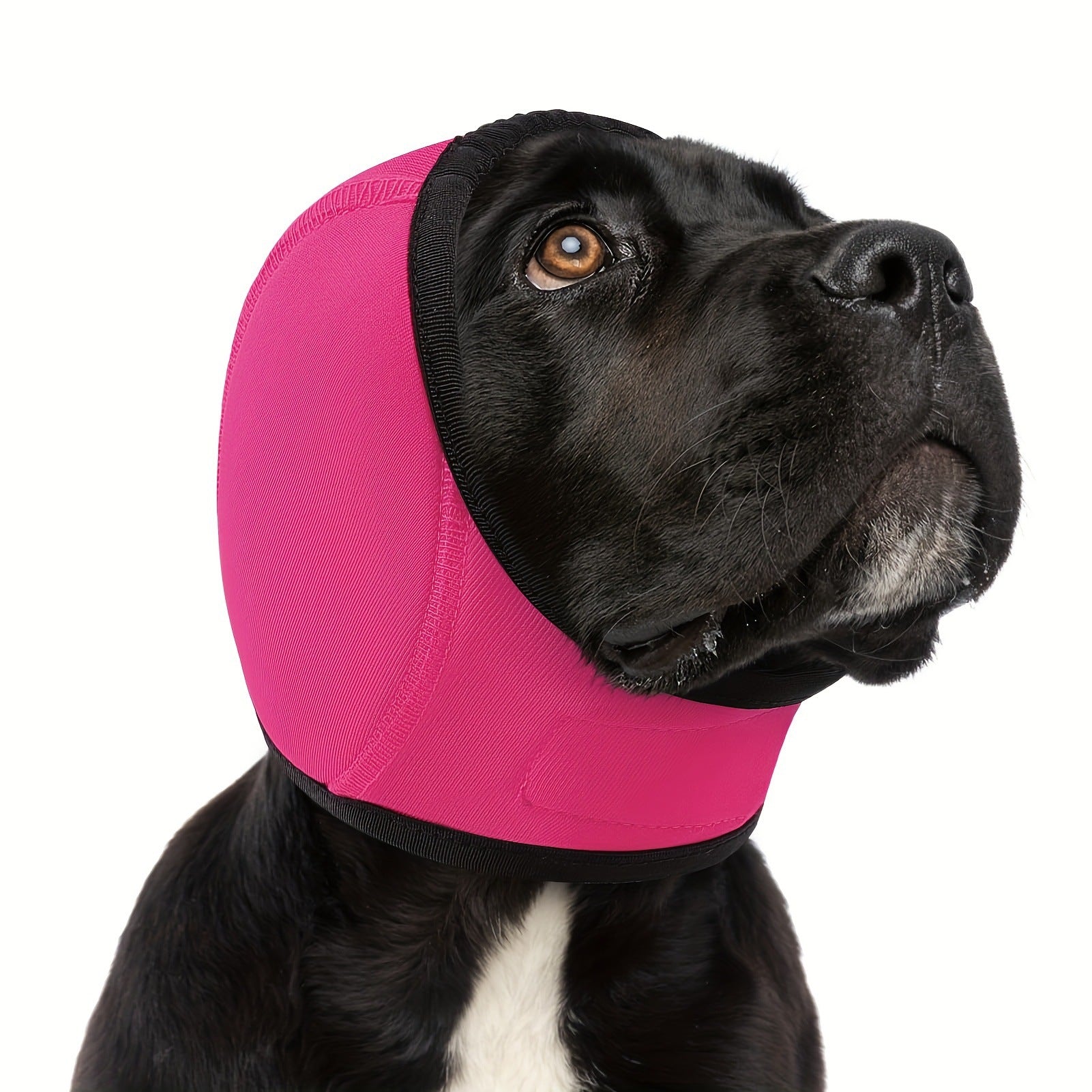 Calming Dog Hood for Noise Reduction During Fireworks