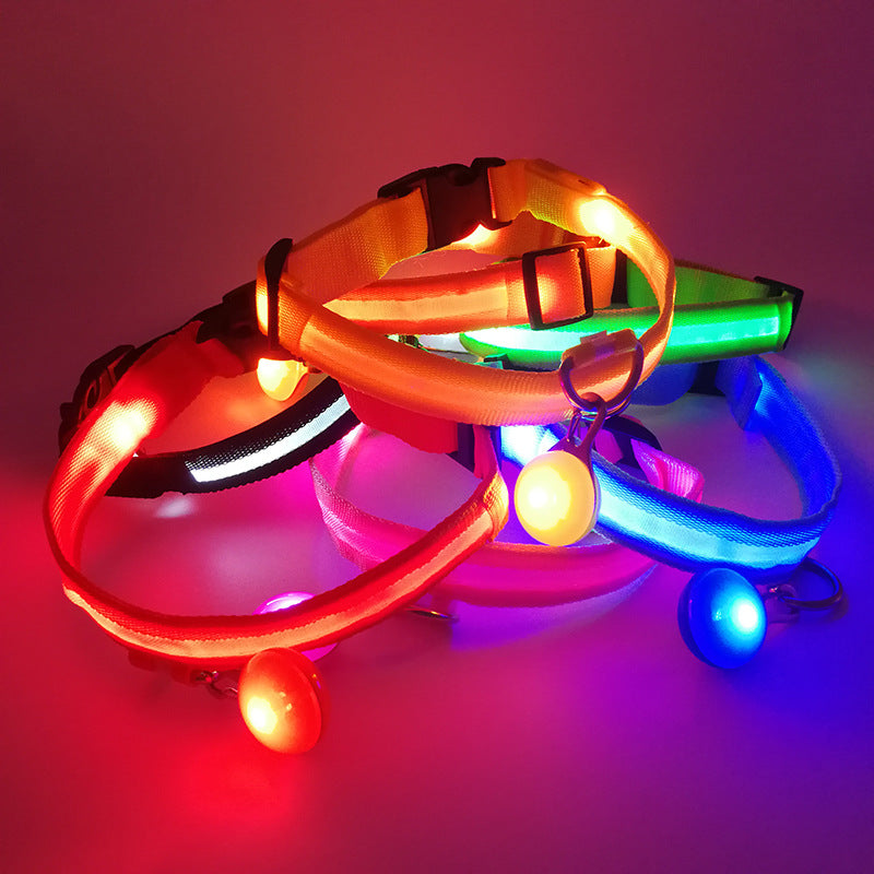 Light up LED dog collar glowing red with reflective strip