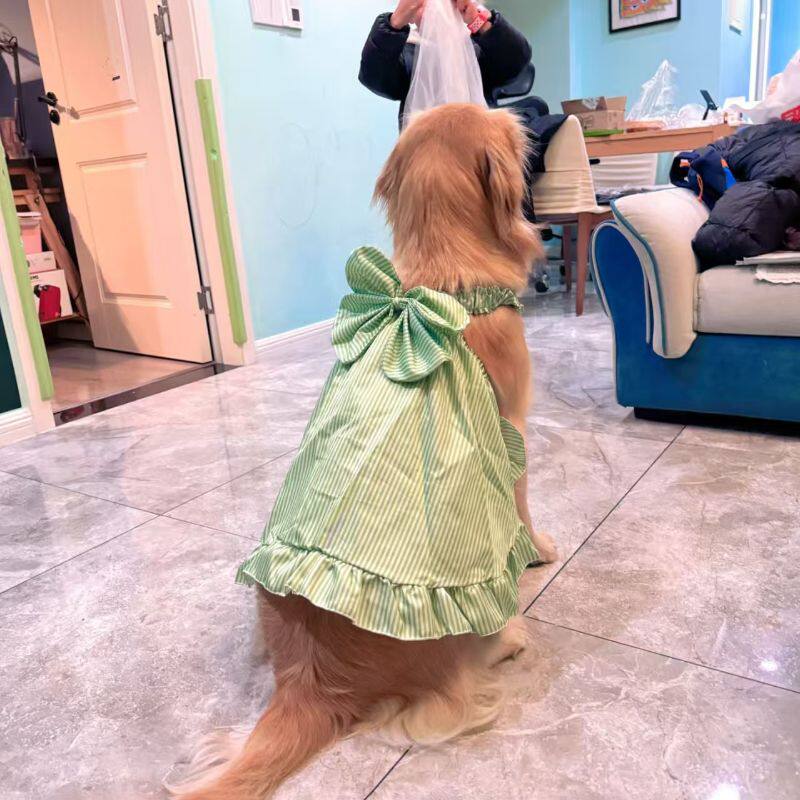 Striped summer dress for large dogs, available in 3 styles, image 2