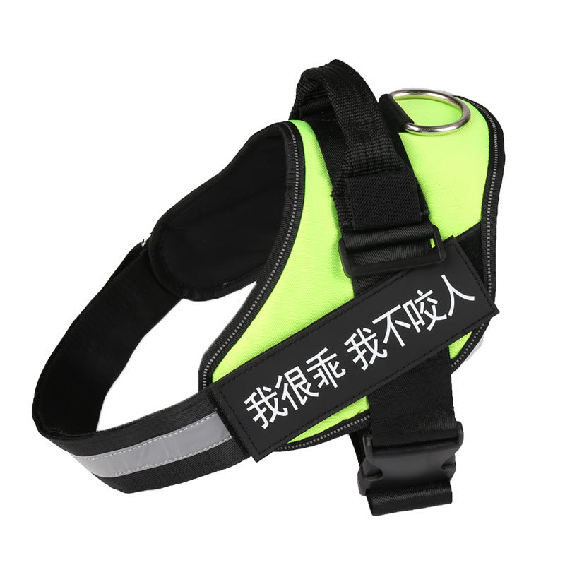 Padded nylon dog harness in camo green on a dog