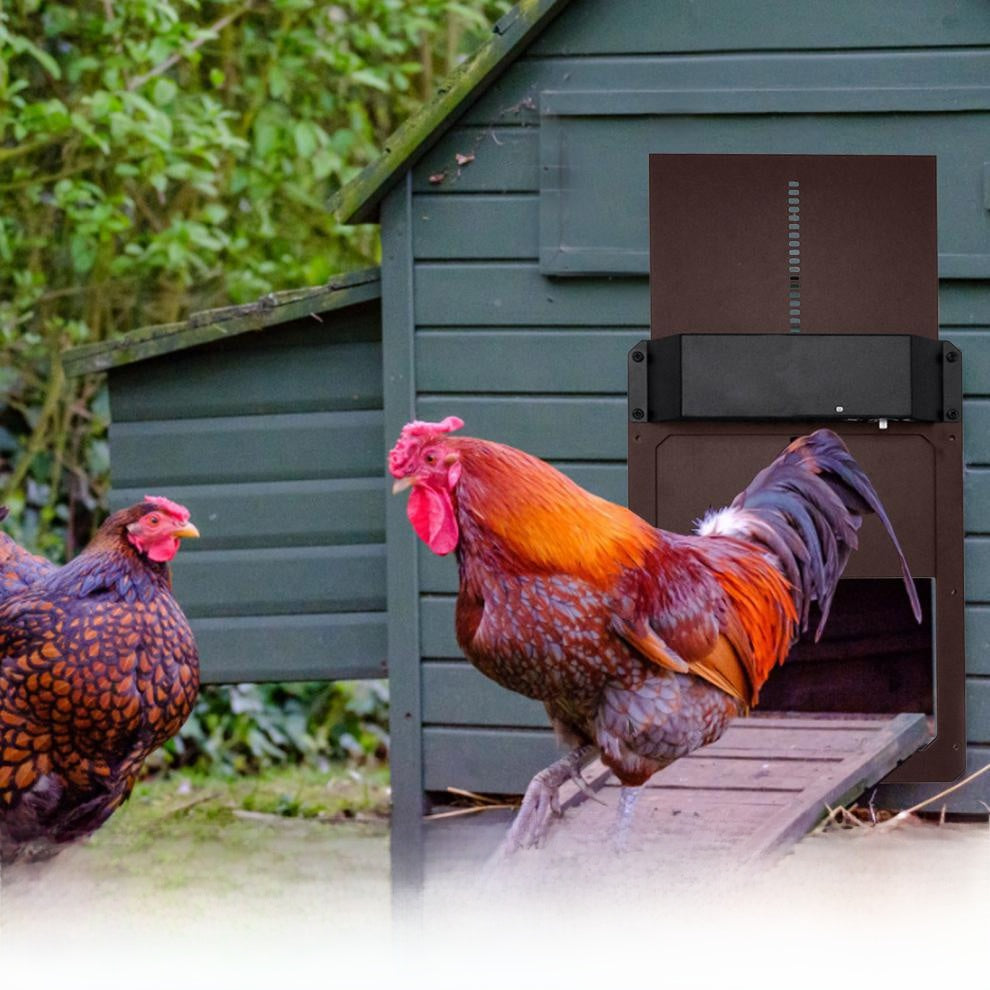 Red automatic chicken coop door with light sensor