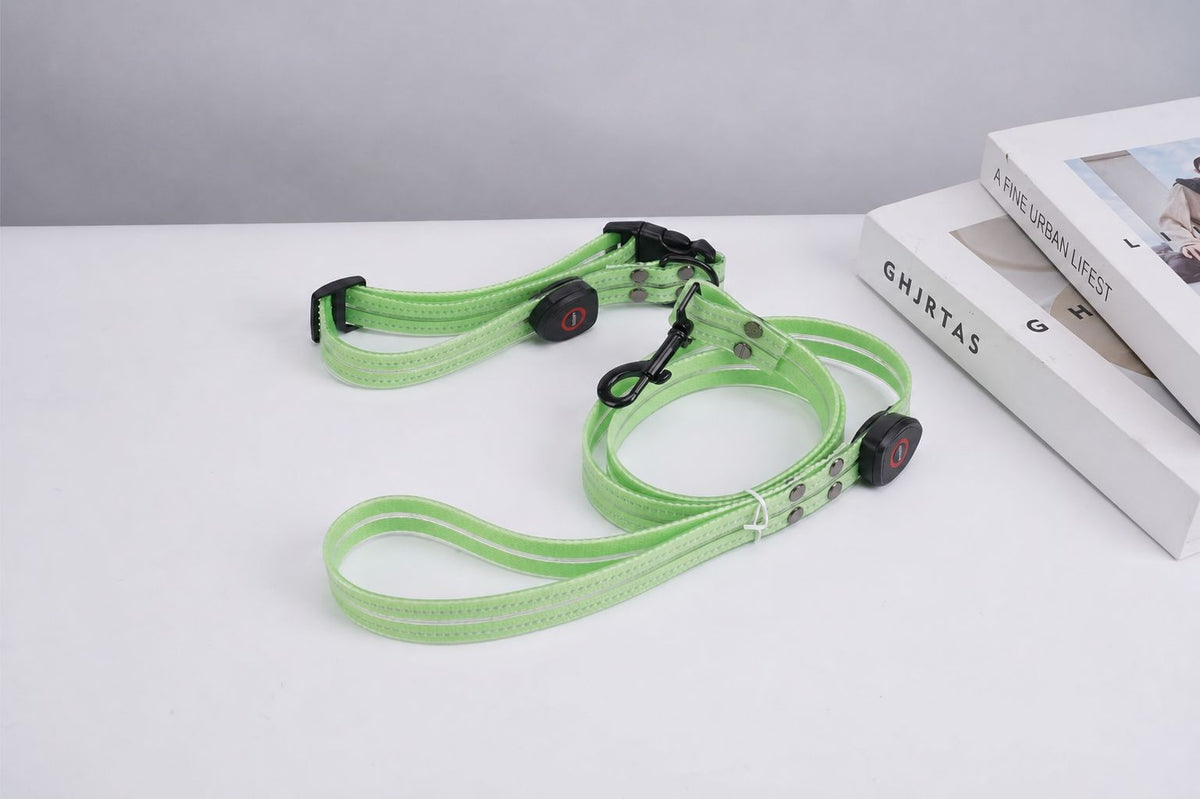 USB rechargeable LED dog collar in PVC, top view