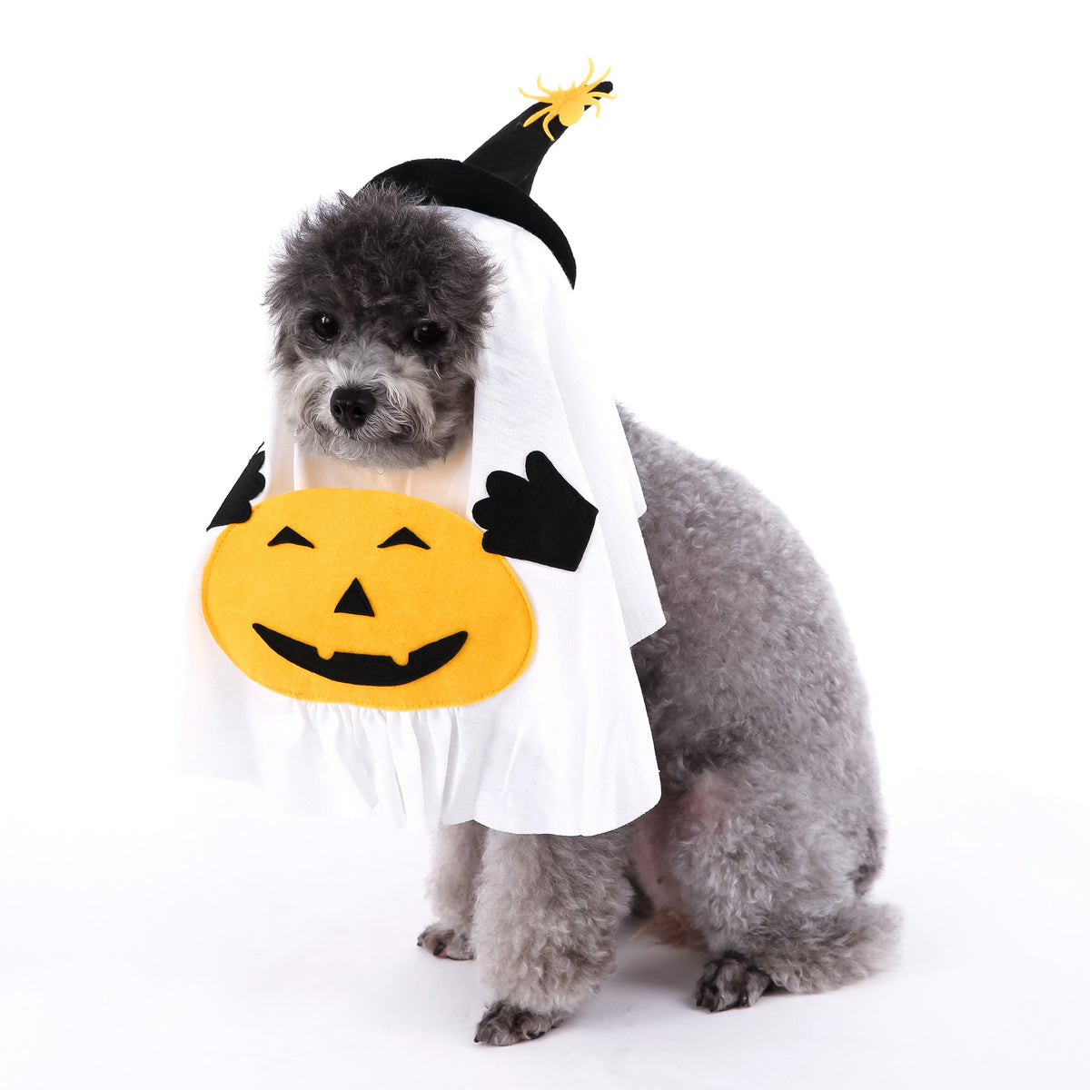 Small dog dressed in a pumpkin ghost Halloween costume