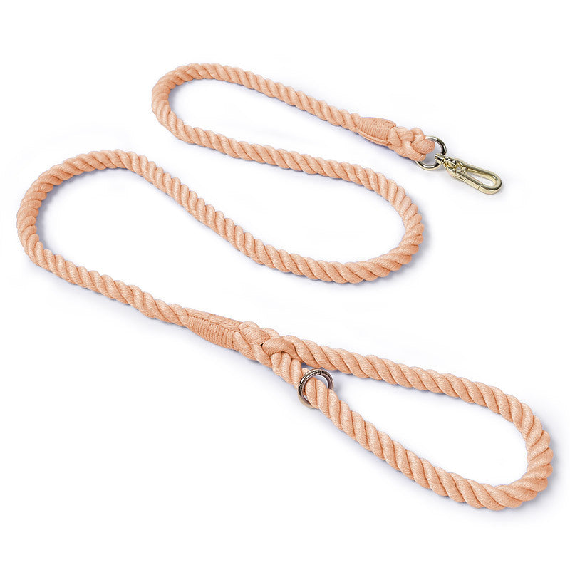 Woven rainbow dog lead with gold coloured clip