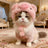 Cute animal headgear hat for cats and small dogs, in use with a pet